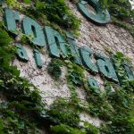 Paredes Verdes01